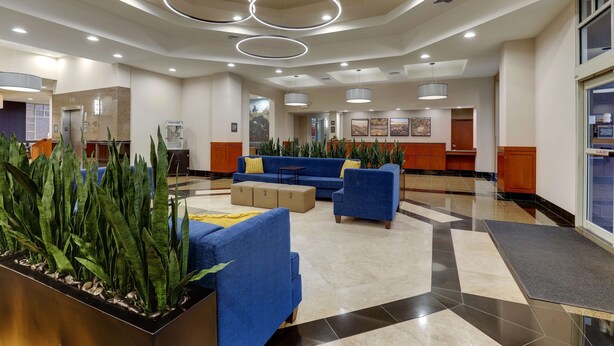 A lobby with a reception desk, blue sofas, a coffee table, and a plant display.