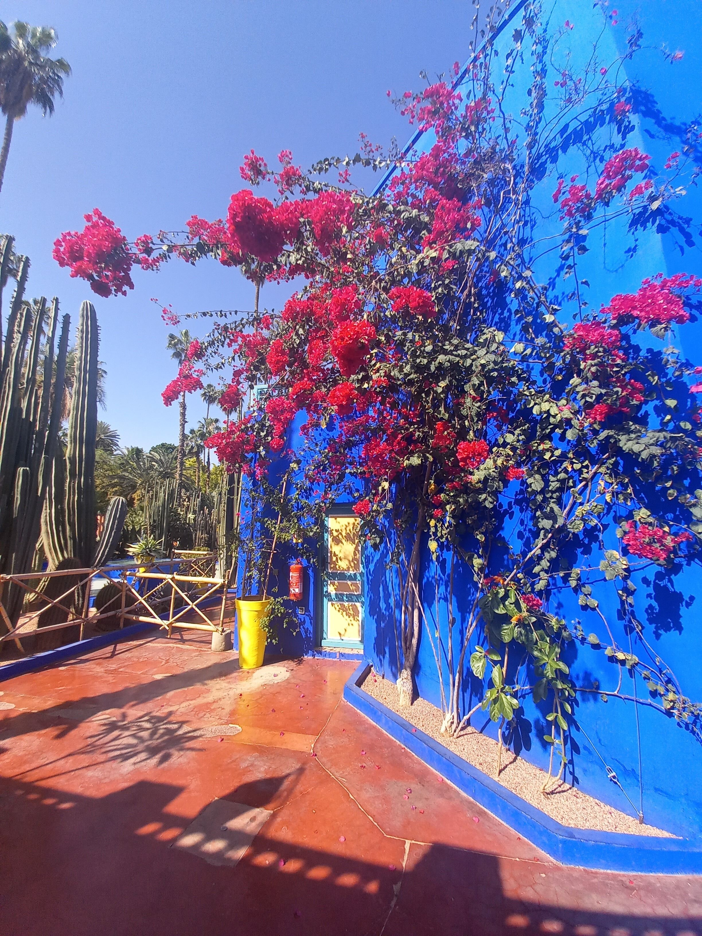 Foto - Riad CHERRATA