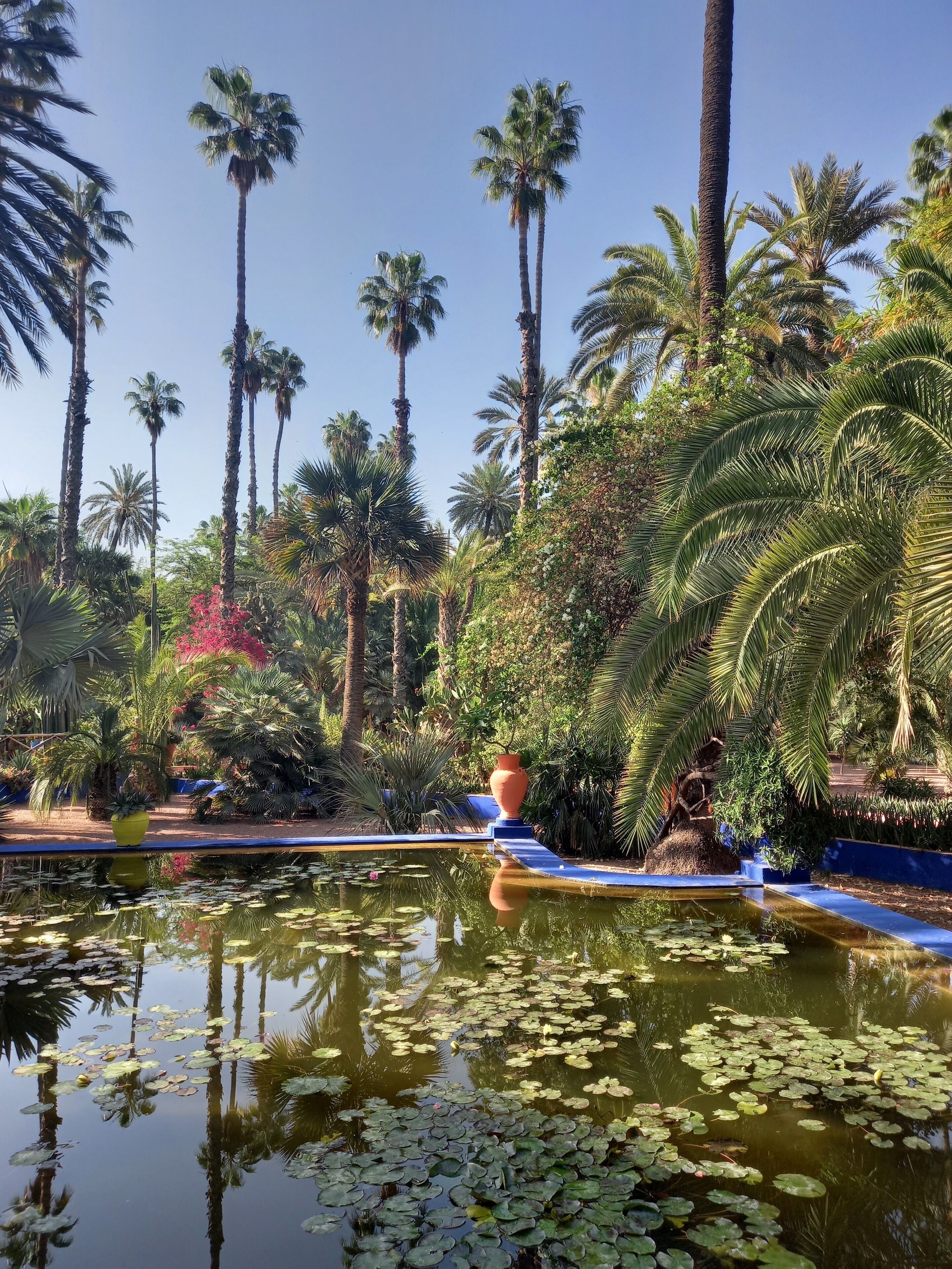 Photo - Riad CHERRATA