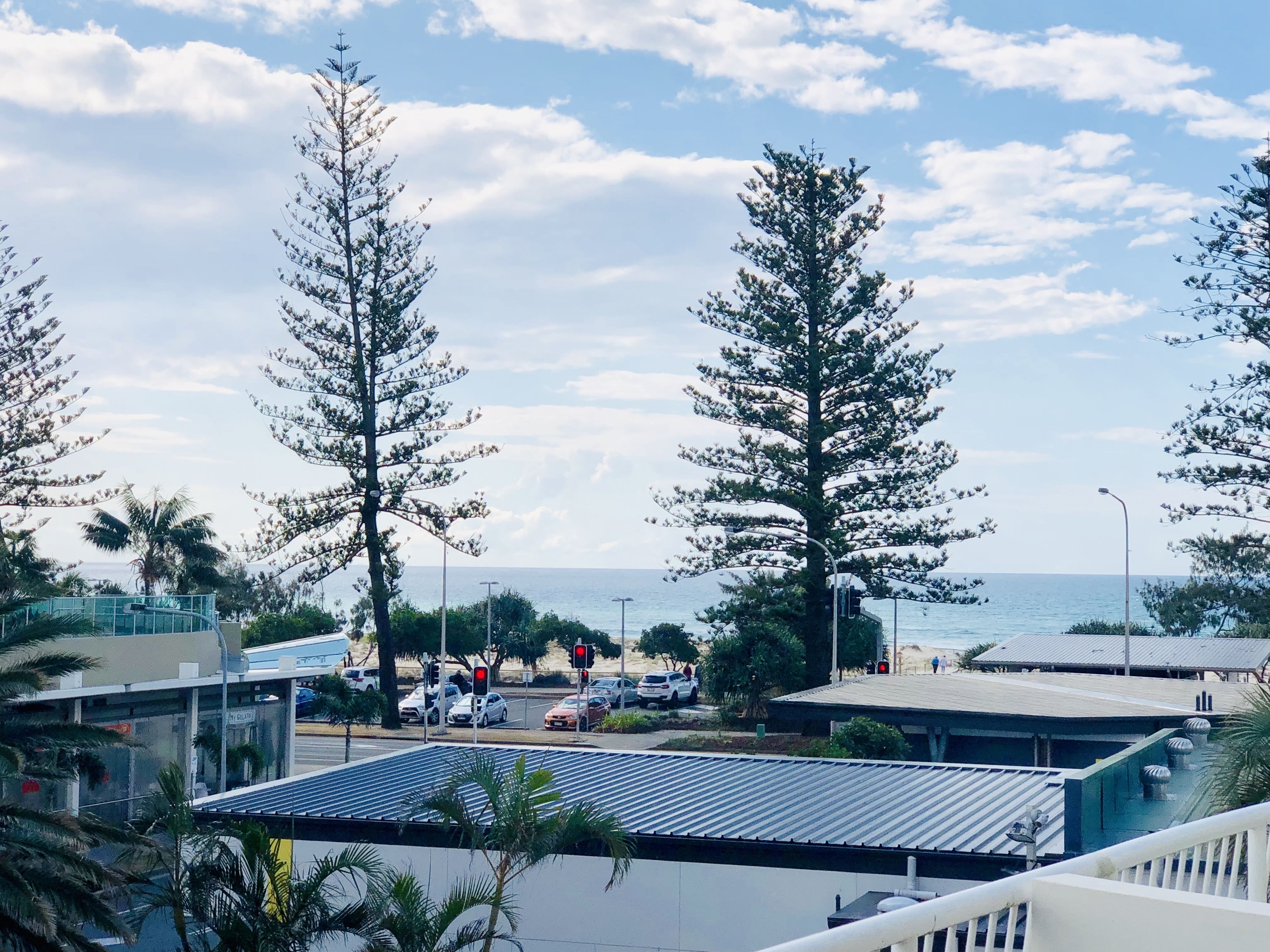 A coastal view with tall trees, a beach, and a parking area with cars and a pedestrian walkway.