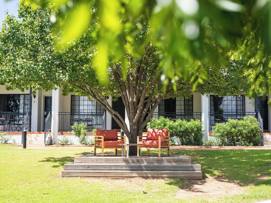 A tree-lined outdoor seating area with a bench and steps leading to a building entrance.