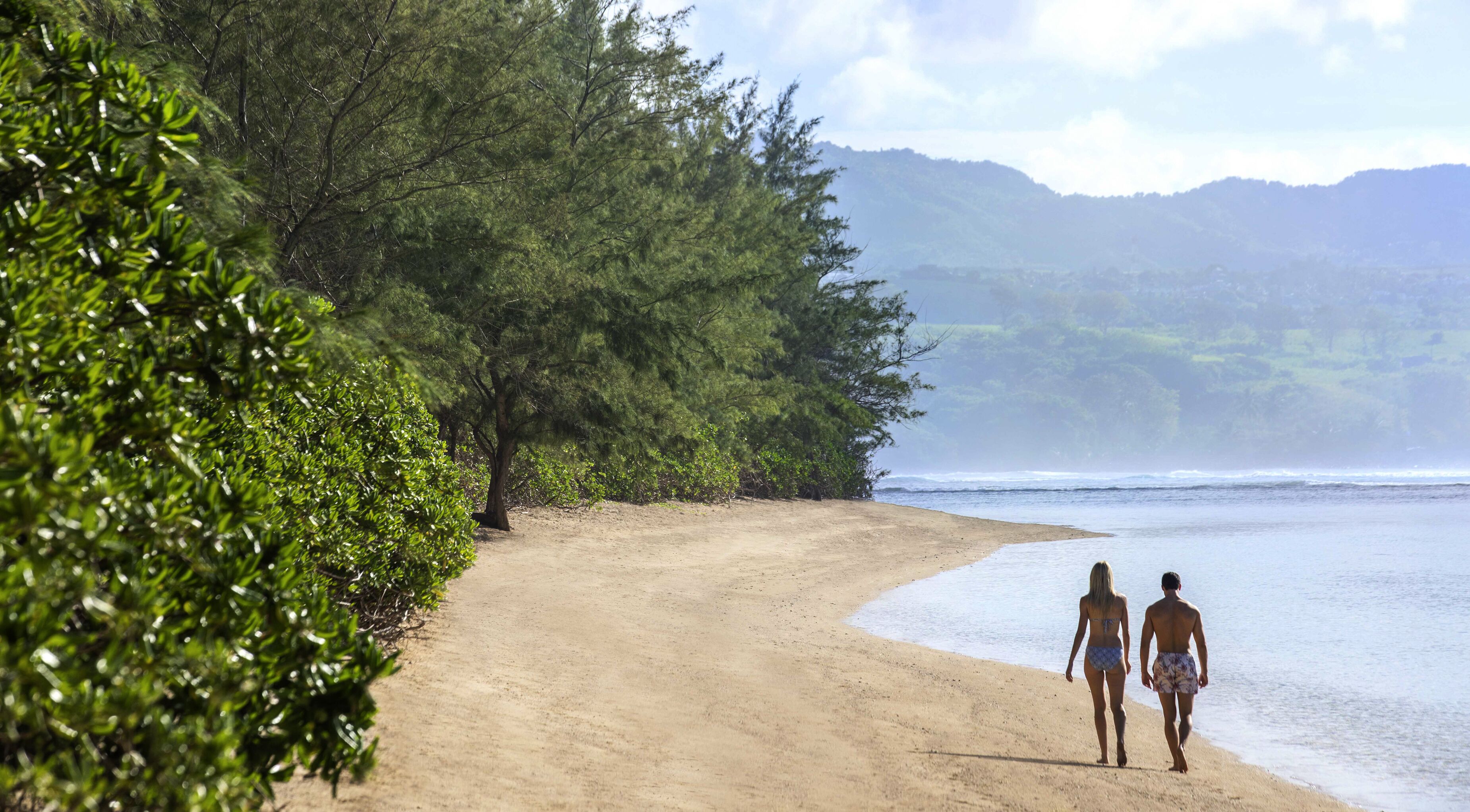 A sandy beach with dense green foliage on one side and a view of the ocean and distant mountains.