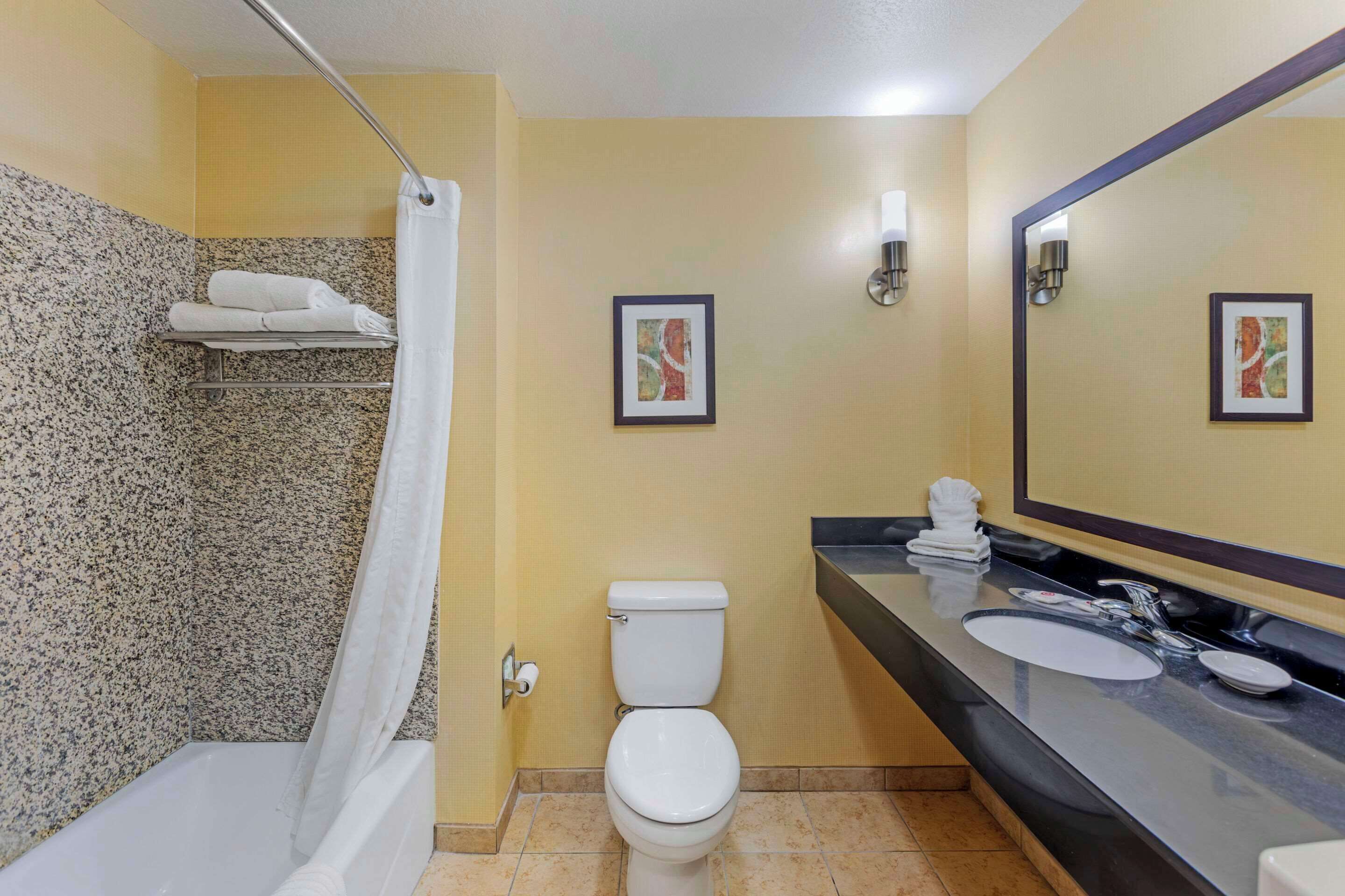 deluxe suite, 1 king bed, non smoking | 1 bedroom, premium bedding, pillow-top beds, desk