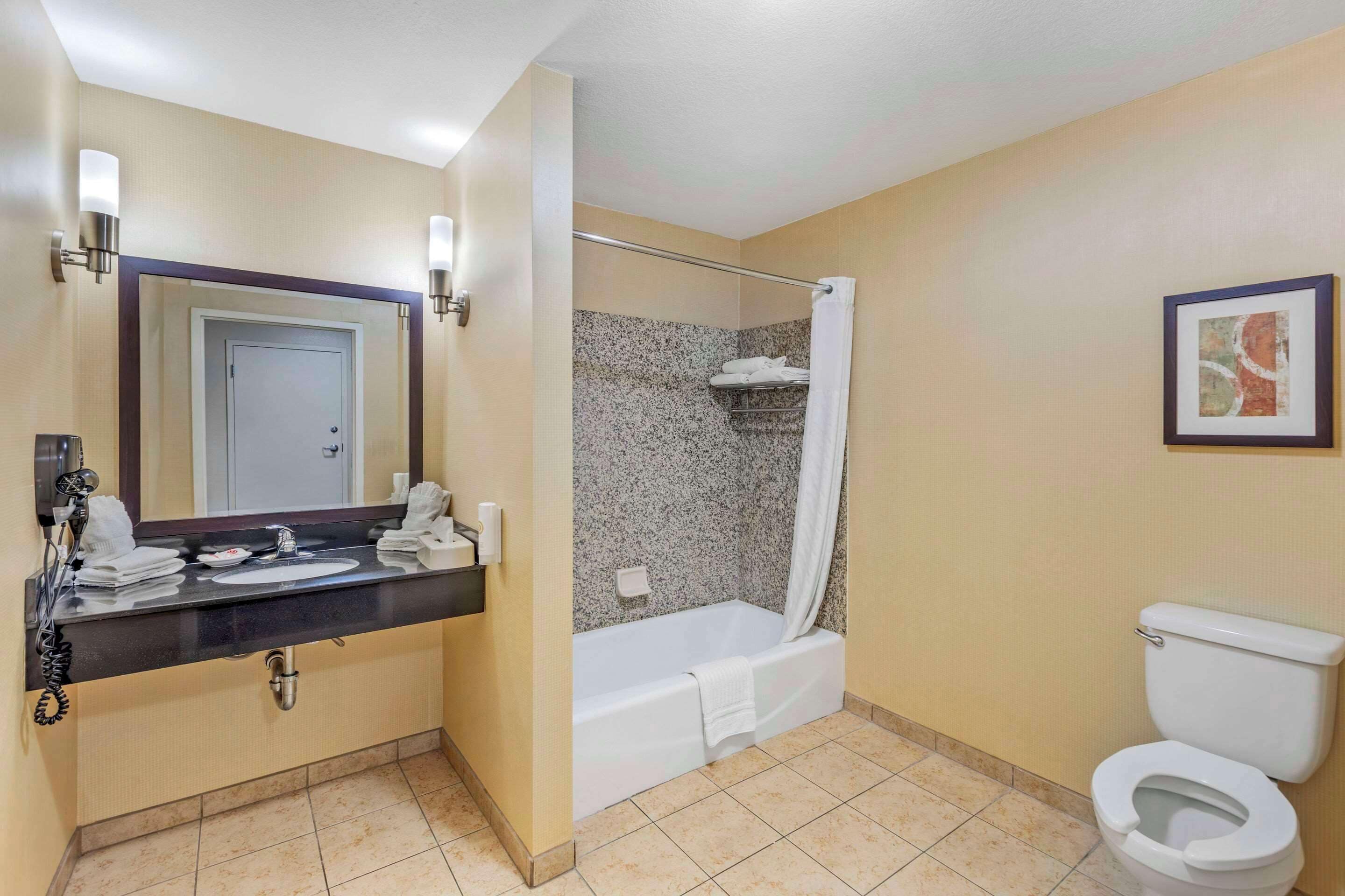 suite, 1 king bed, non smoking | 1 bedroom, premium bedding, pillow-top beds, desk