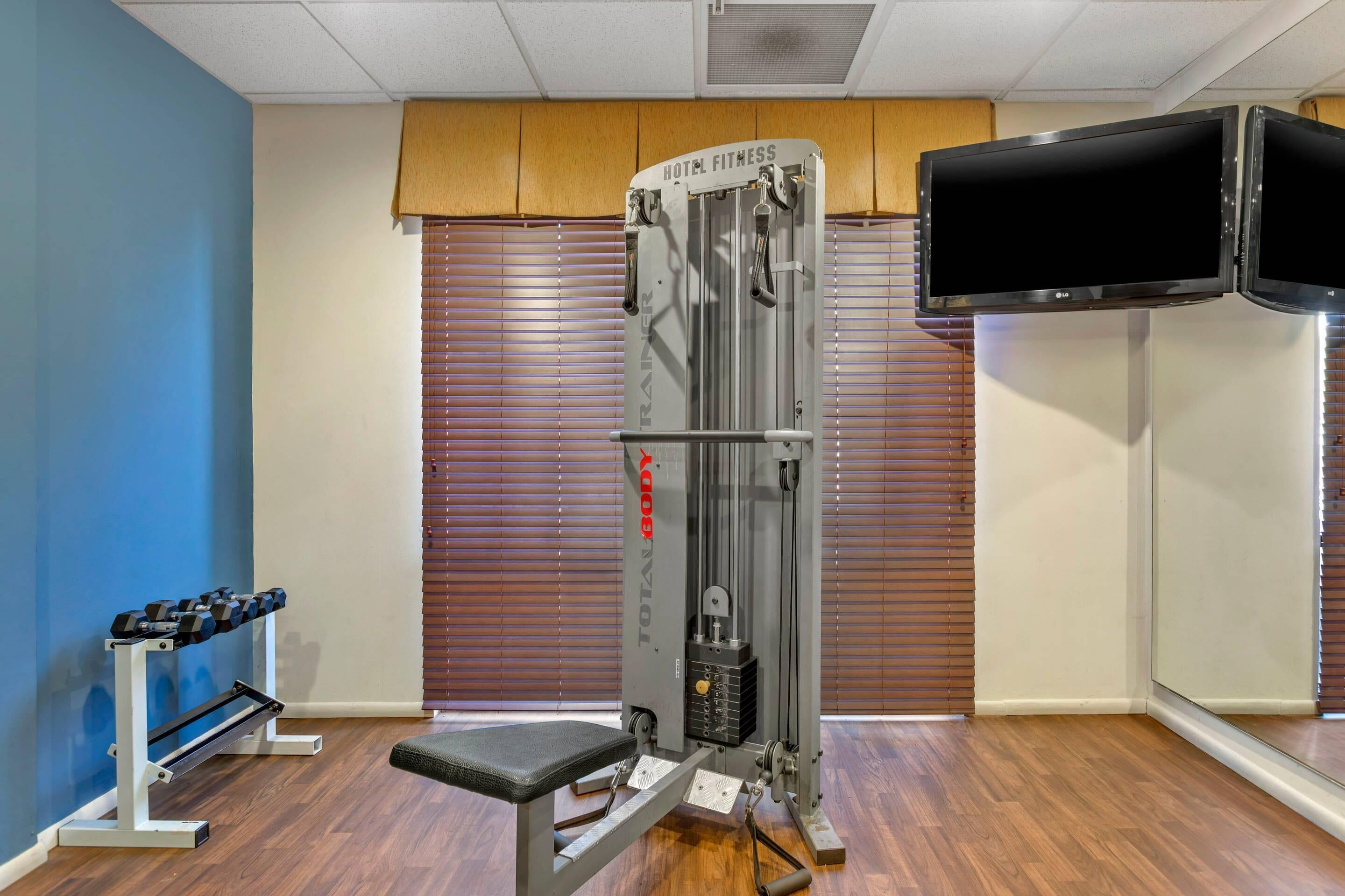 A gym with a weight bench, dumbbells, a cable machine, and a TV.