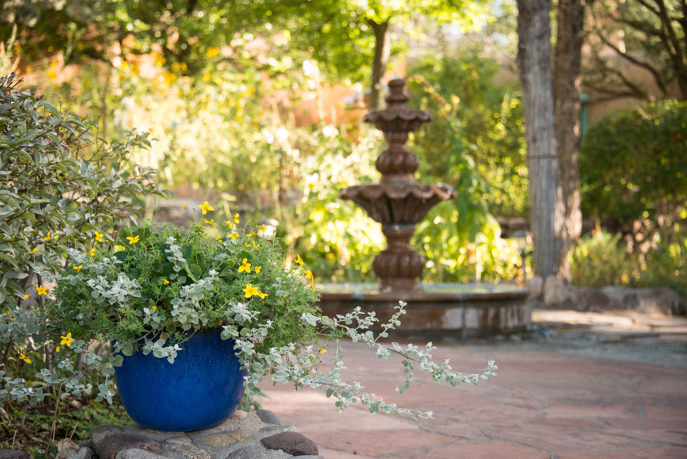A garden with a blue pot of flowers and a stone fountain.