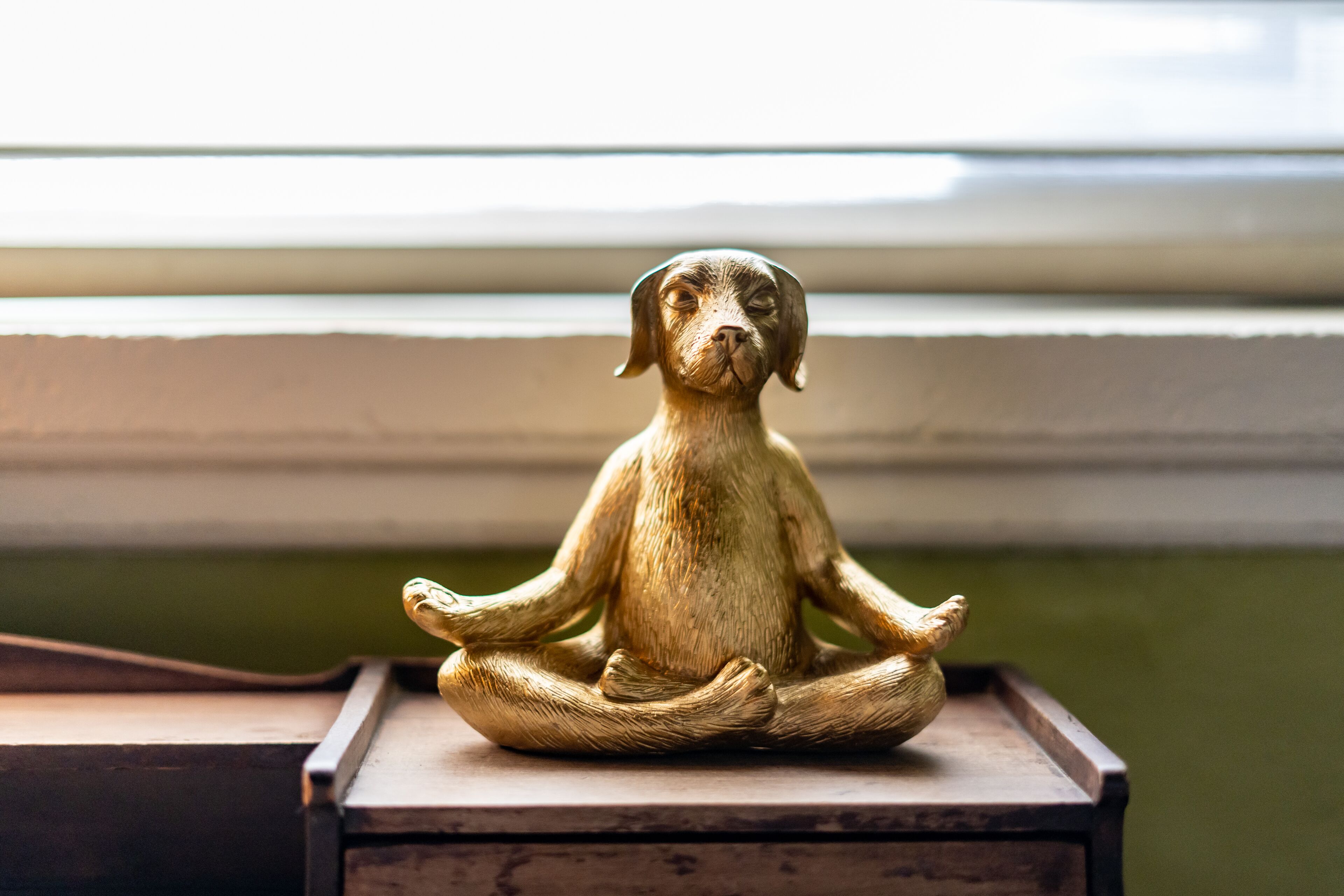 A wooden dog statue in a meditative pose on a wooden table.