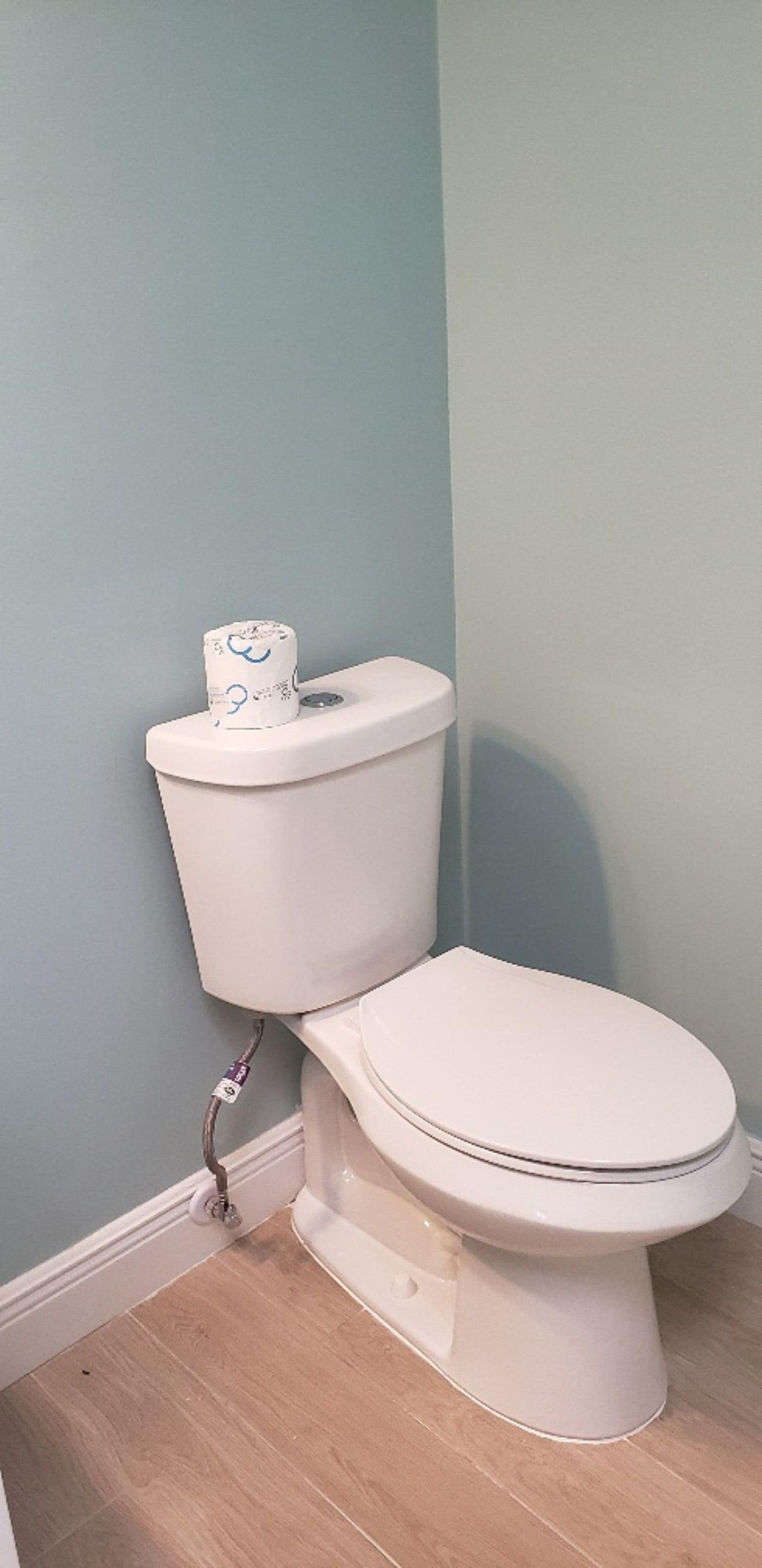 Un inodoro con un rollo de papel higiénico en un baño con paredes azul claro y suelo de madera.