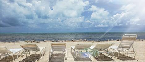 A beach with several sun loungers aligned in a row facing the ocean.
