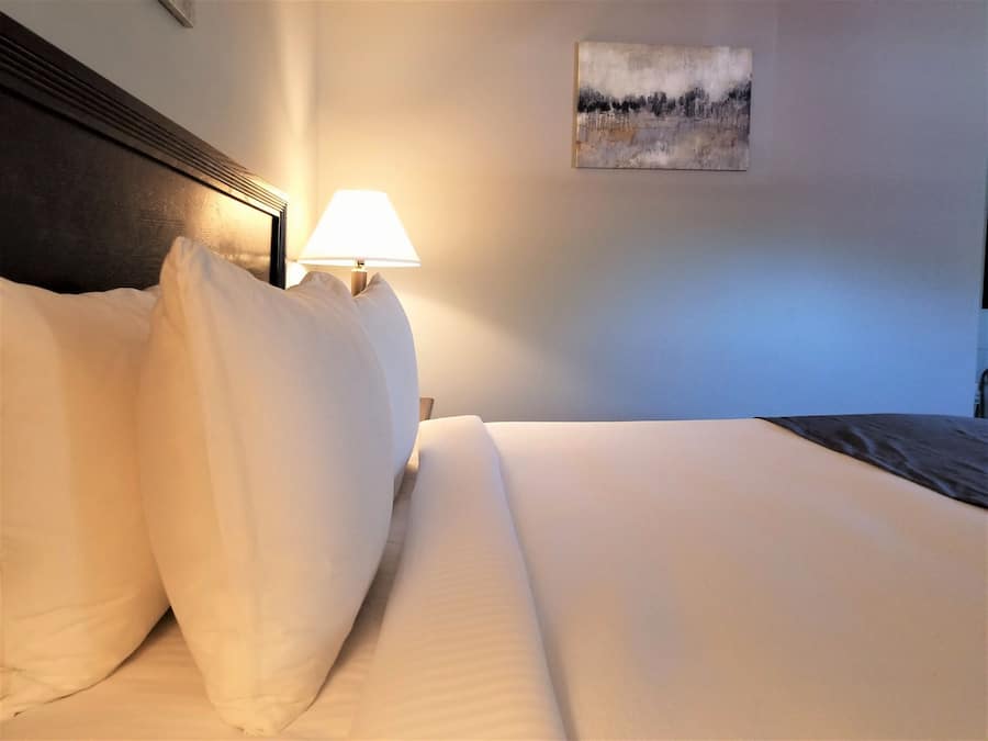 Een keurig opgemaakt bed met witte lakens, een lampje ernaast en een schilderij aan de muur.