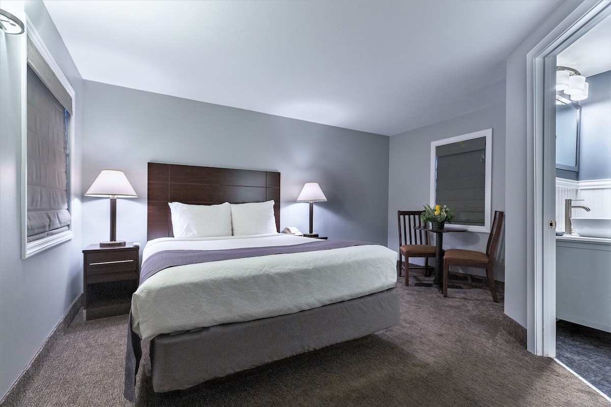 Deluxe Room, 1 Queen Bed (DELUXE QUEEN ROOM) | Egyptian cotton sheets, premium bedding, pillowtop beds