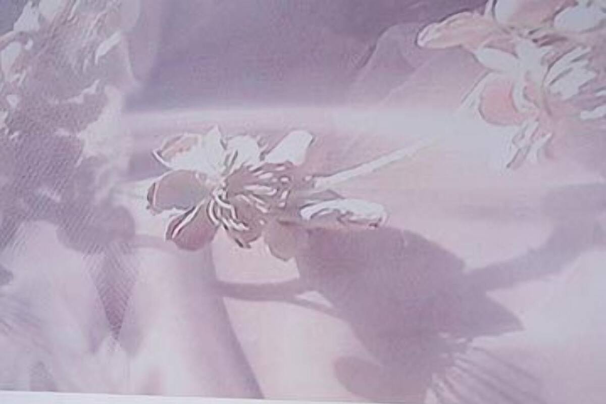 A neatly made bed with white linens, a bedside table with a lamp, and a large floral wallpaper.