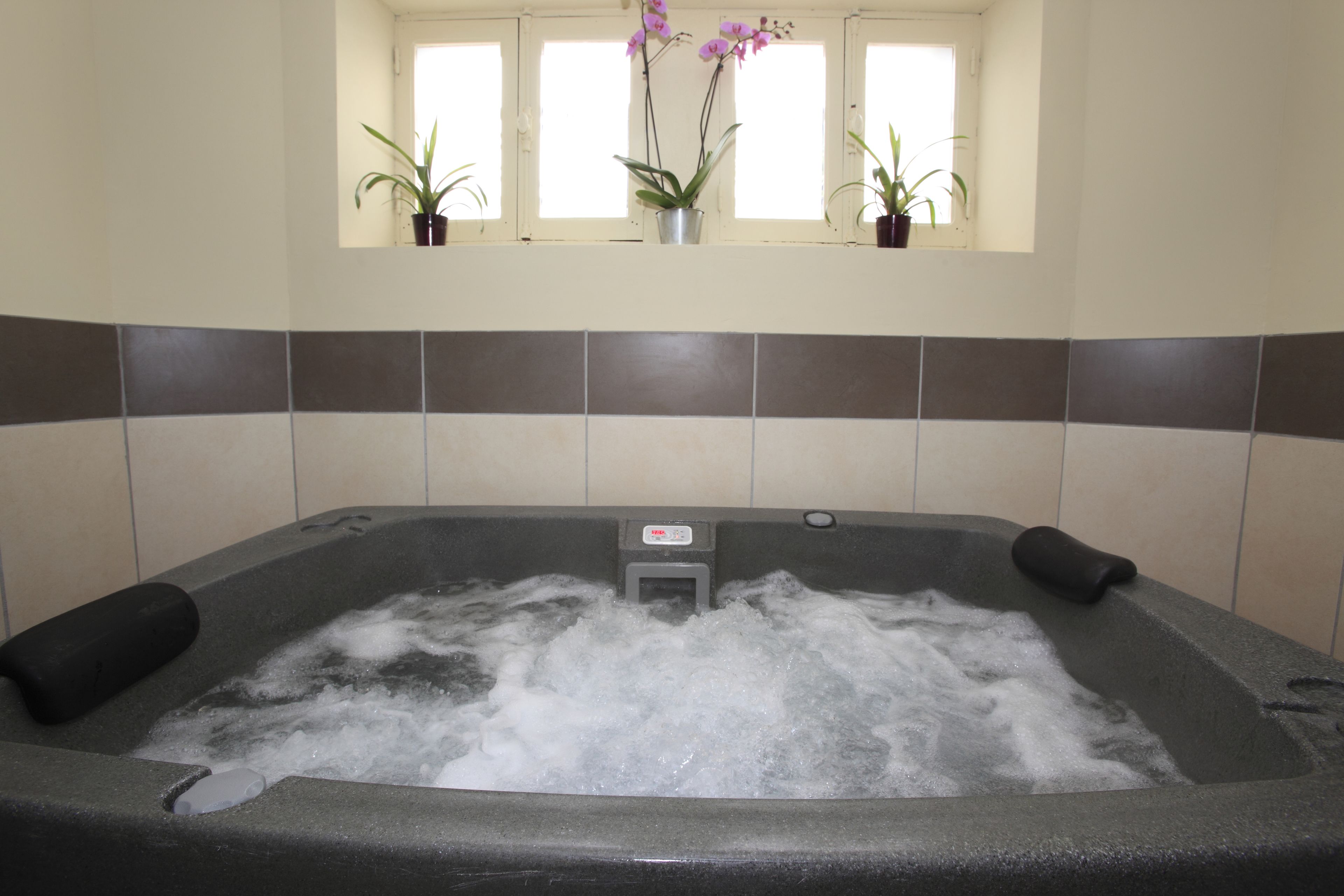A hot tub with water, surrounded by tiled walls and potted plants.