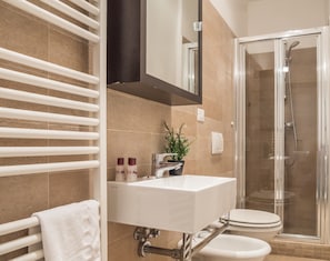 Shower, free toiletries, hair dryer, bidet