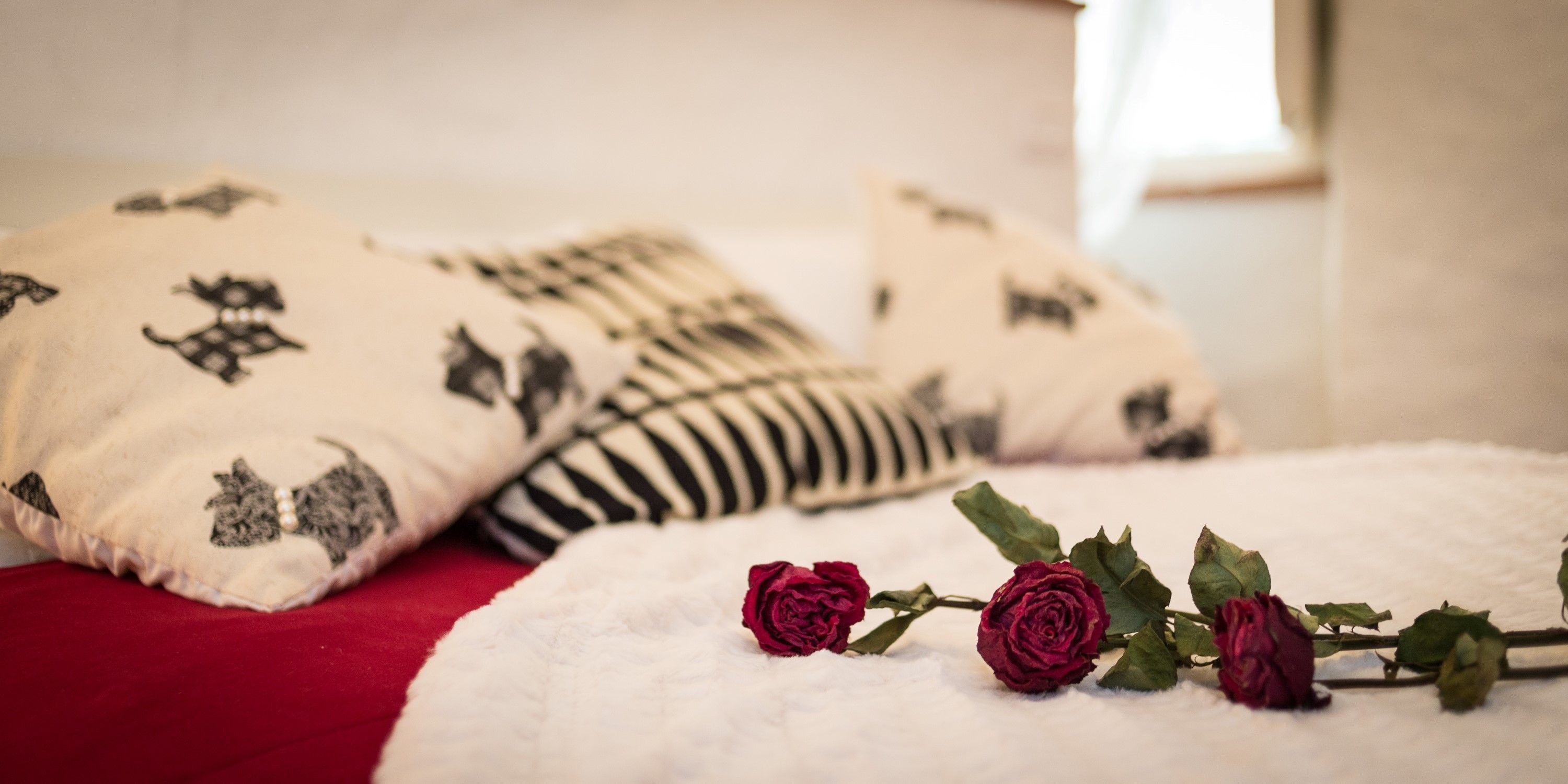 Een bed met een witte deken, rood kussen en decoratieve kussens met zwarte patronen.