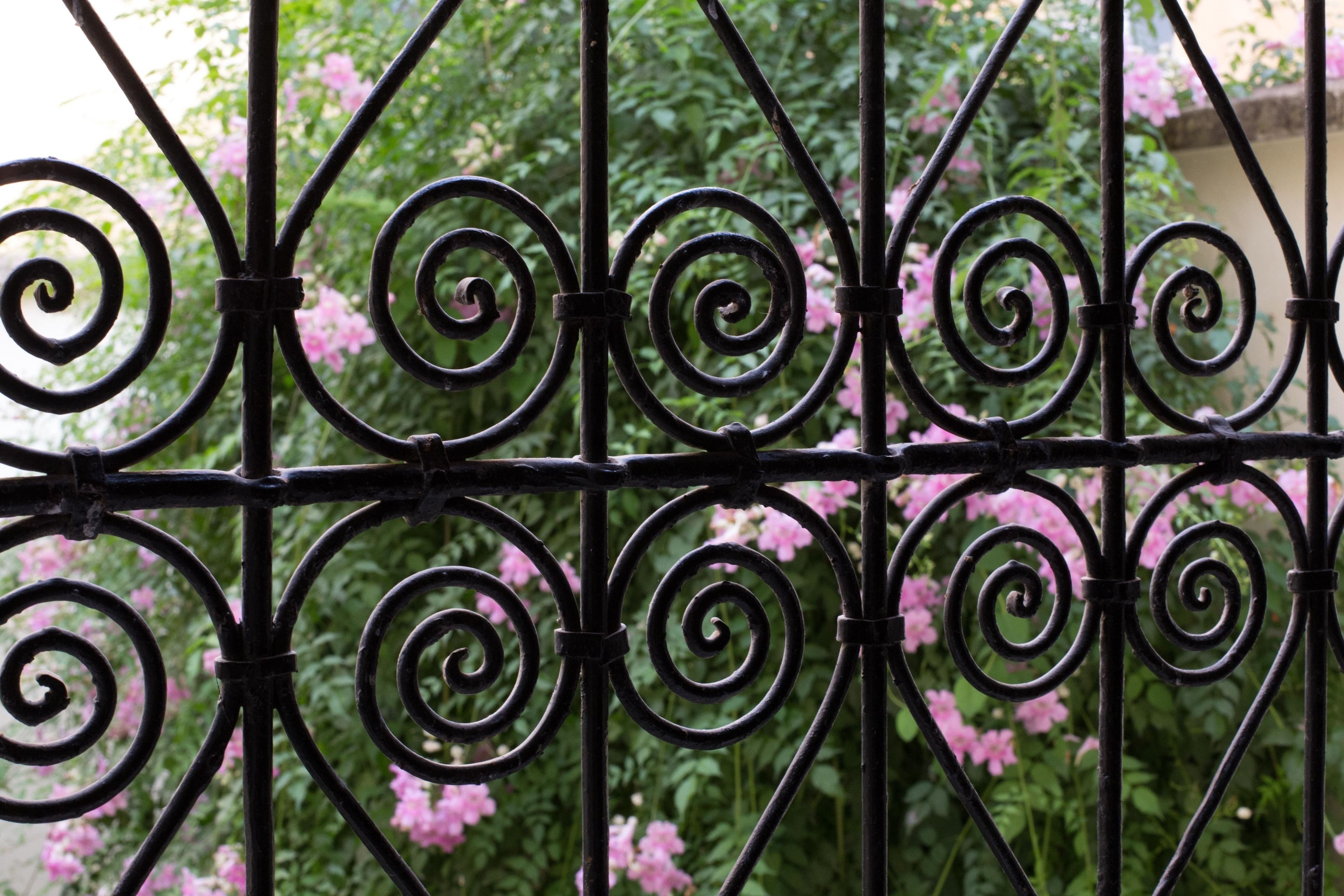 Photo - Riad Jardin Chrifa