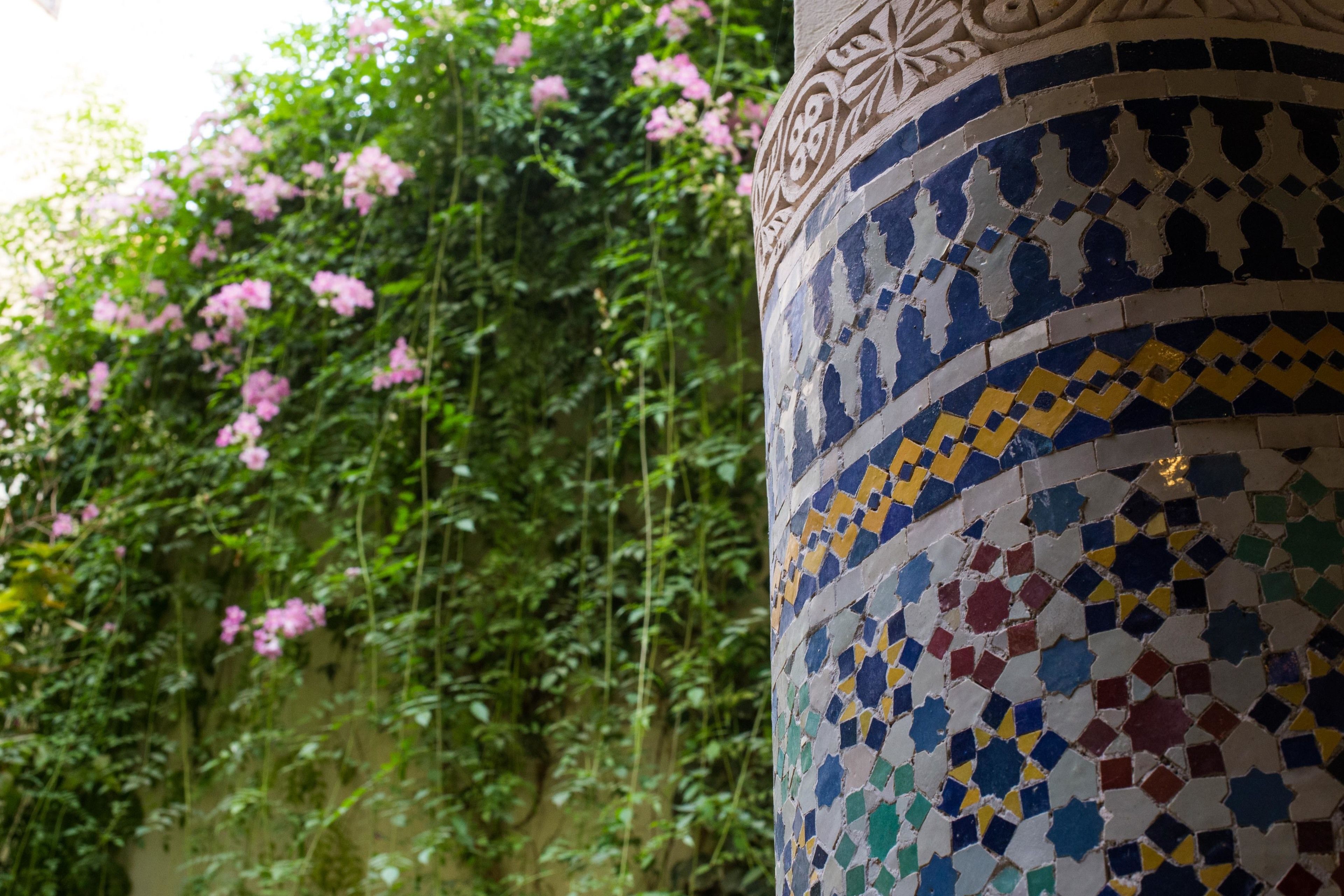 Photo - Riad Jardin Chrifa