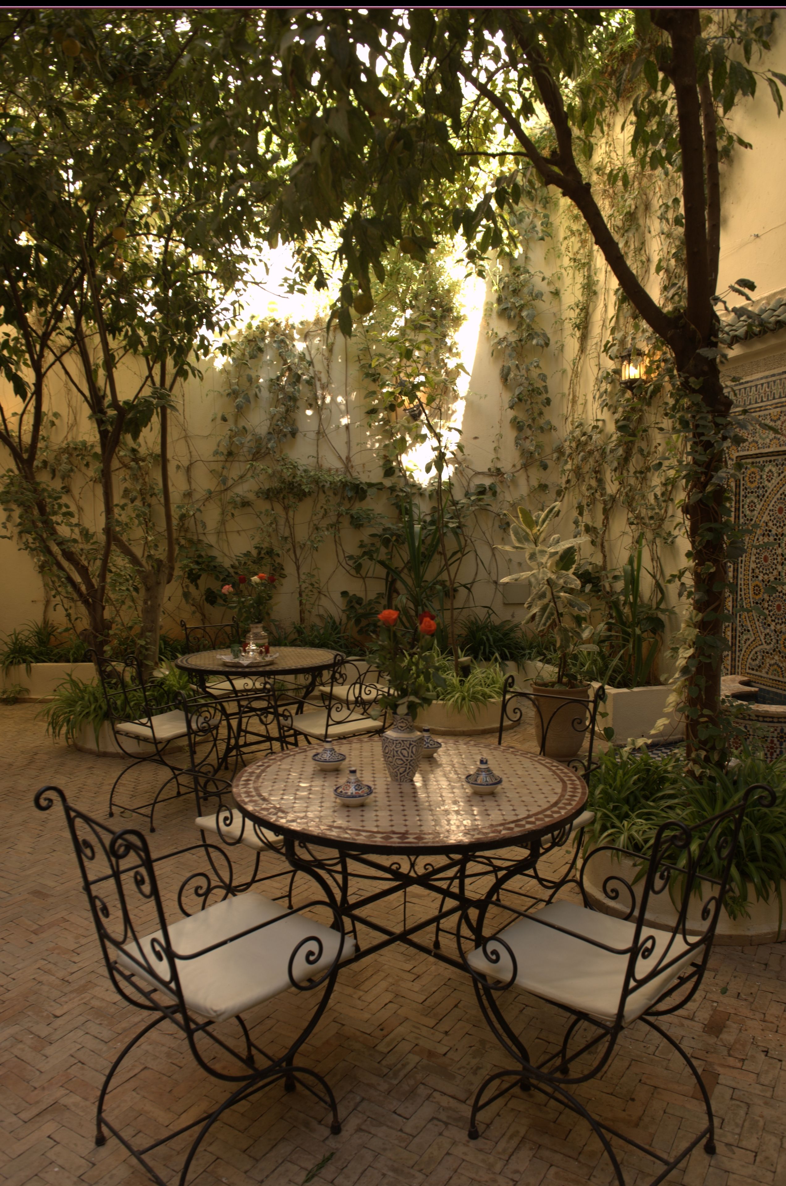Photo - Riad Jardin Chrifa