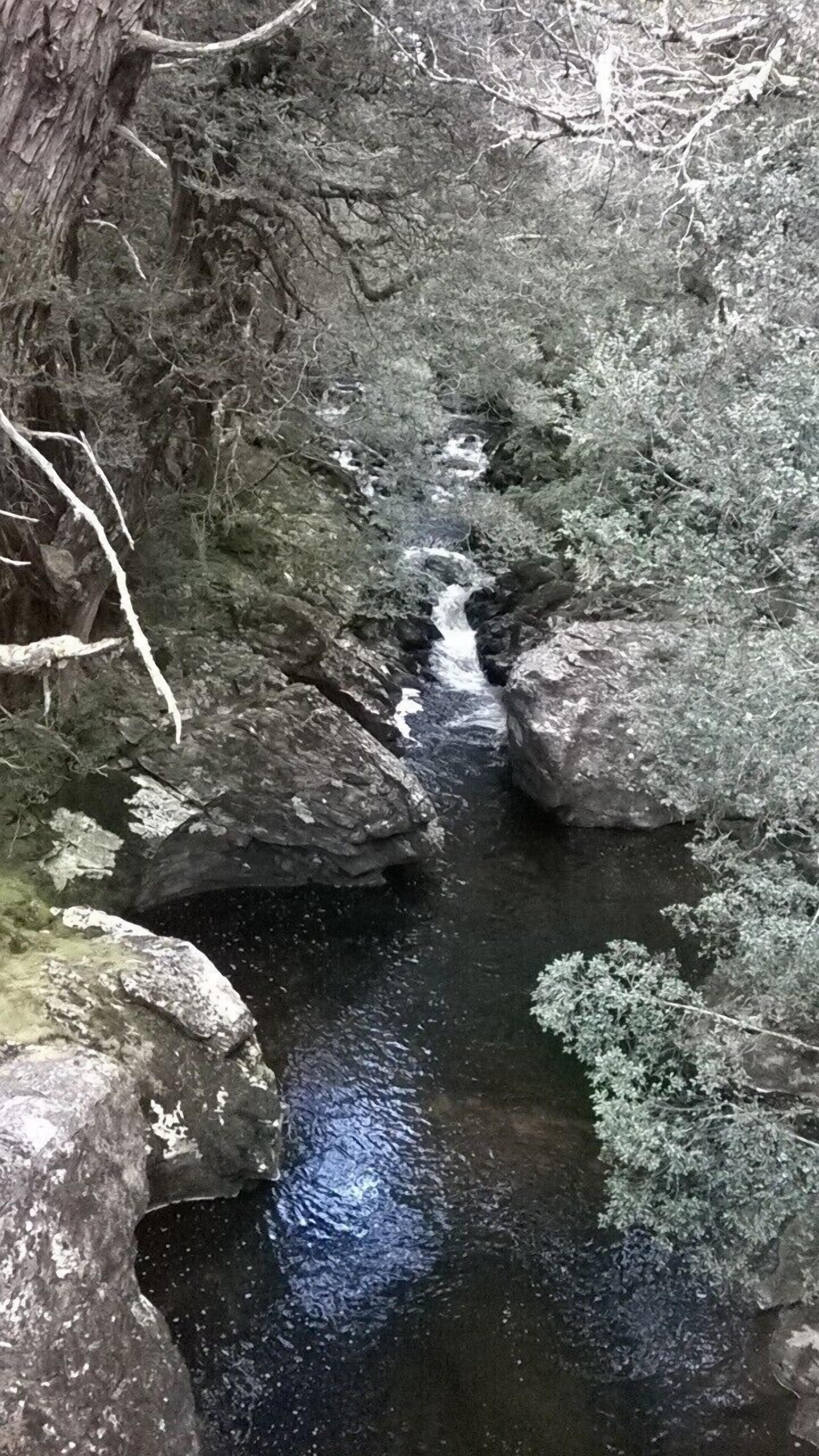 Un arroyo serpentea a través de un terreno rocoso con grandes rocas y vegetación densa.