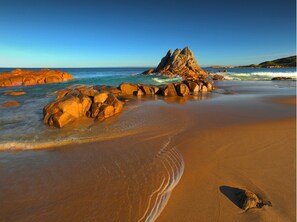 Vista desde la propiedad