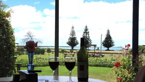 Une table avec deux verres à vin et une bouteille, un vase avec une rose, et une vue sur un espace verdoyant avec des arbres et une étendue d’eau.