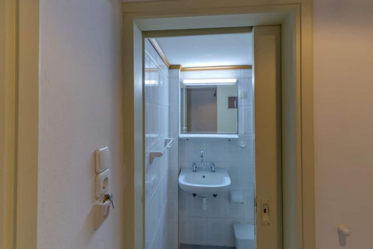 Shower, free toiletries, hair dryer
