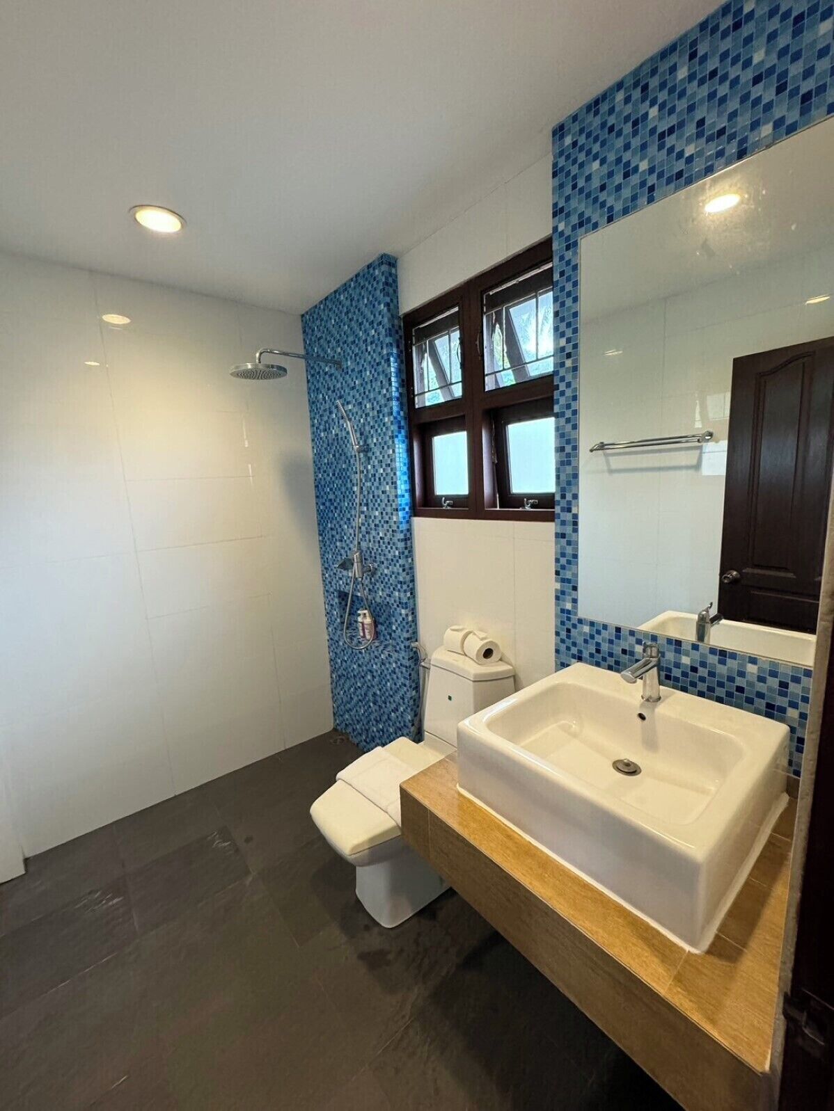 Un bagno moderno con un lavandino grande, un water e una doccia.