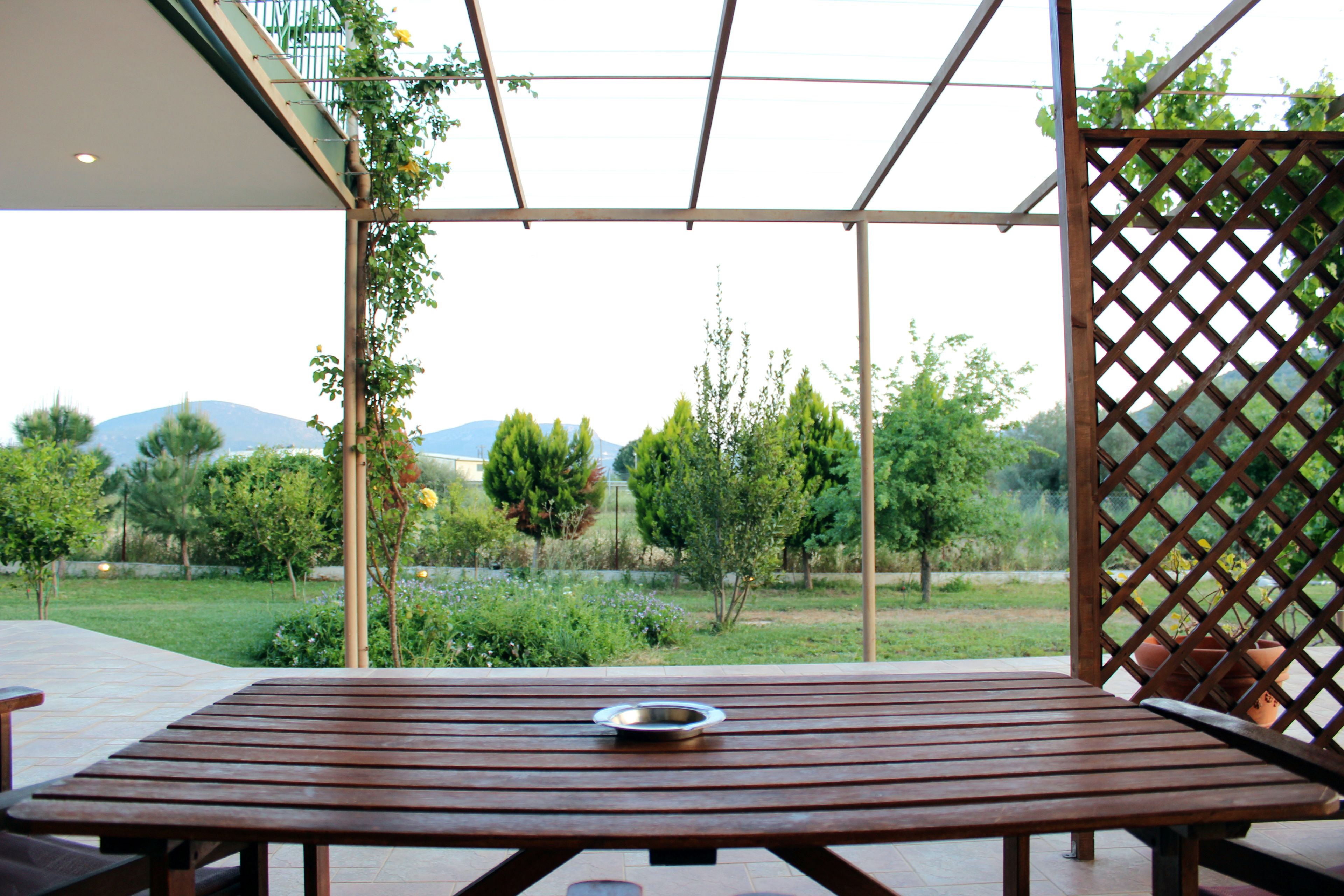 Estudio | Terraza o patio