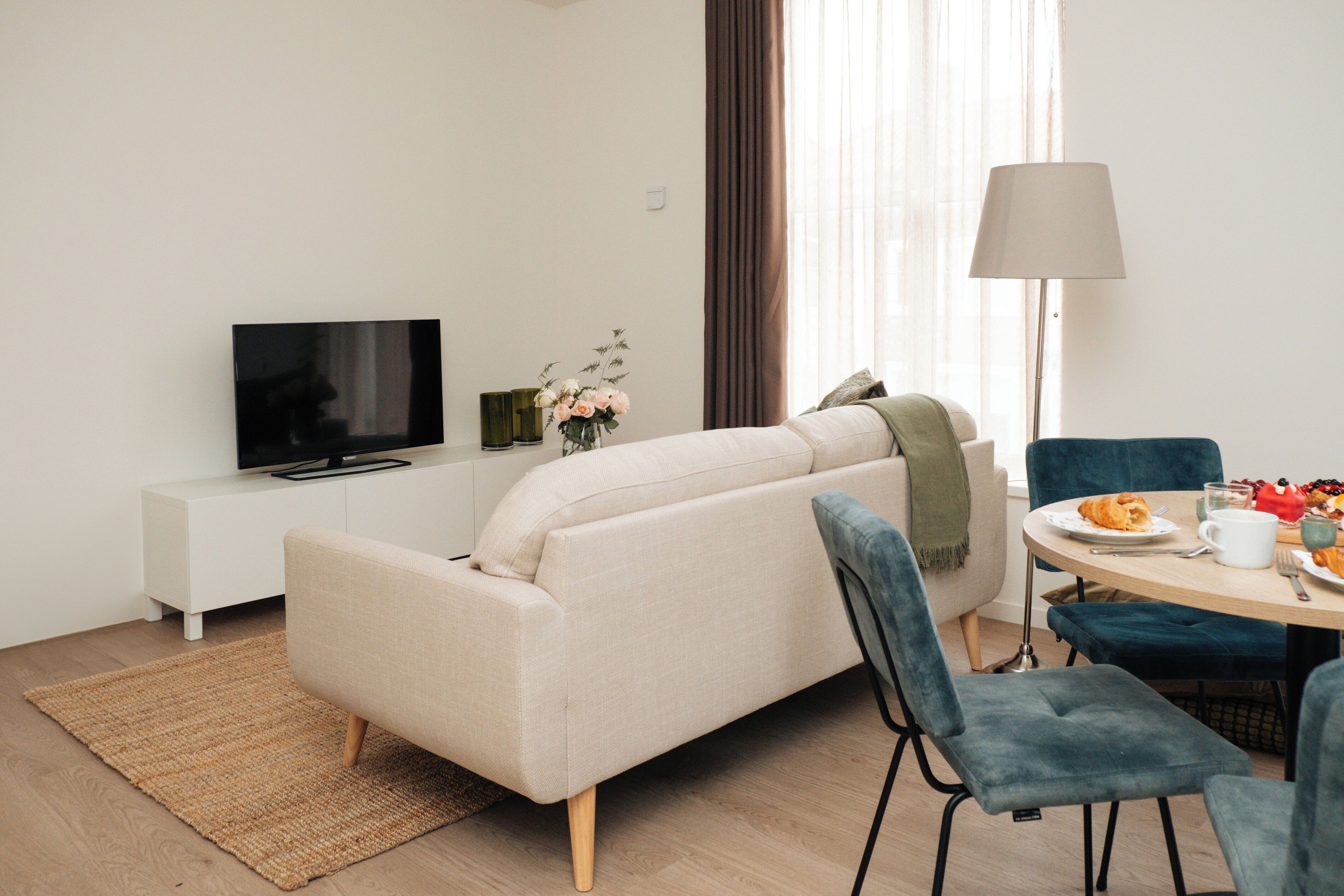 Flachbildfernseher, DVD-Player