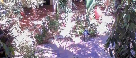 A courtyard with a stone floor, surrounded by various plants and trees. There are arches in the background, suggesting a historical or traditional architectural style.