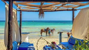 Eine Strandhütte mit Holzboden, einem Tisch mit blauen Kissen und zwei Pferden.