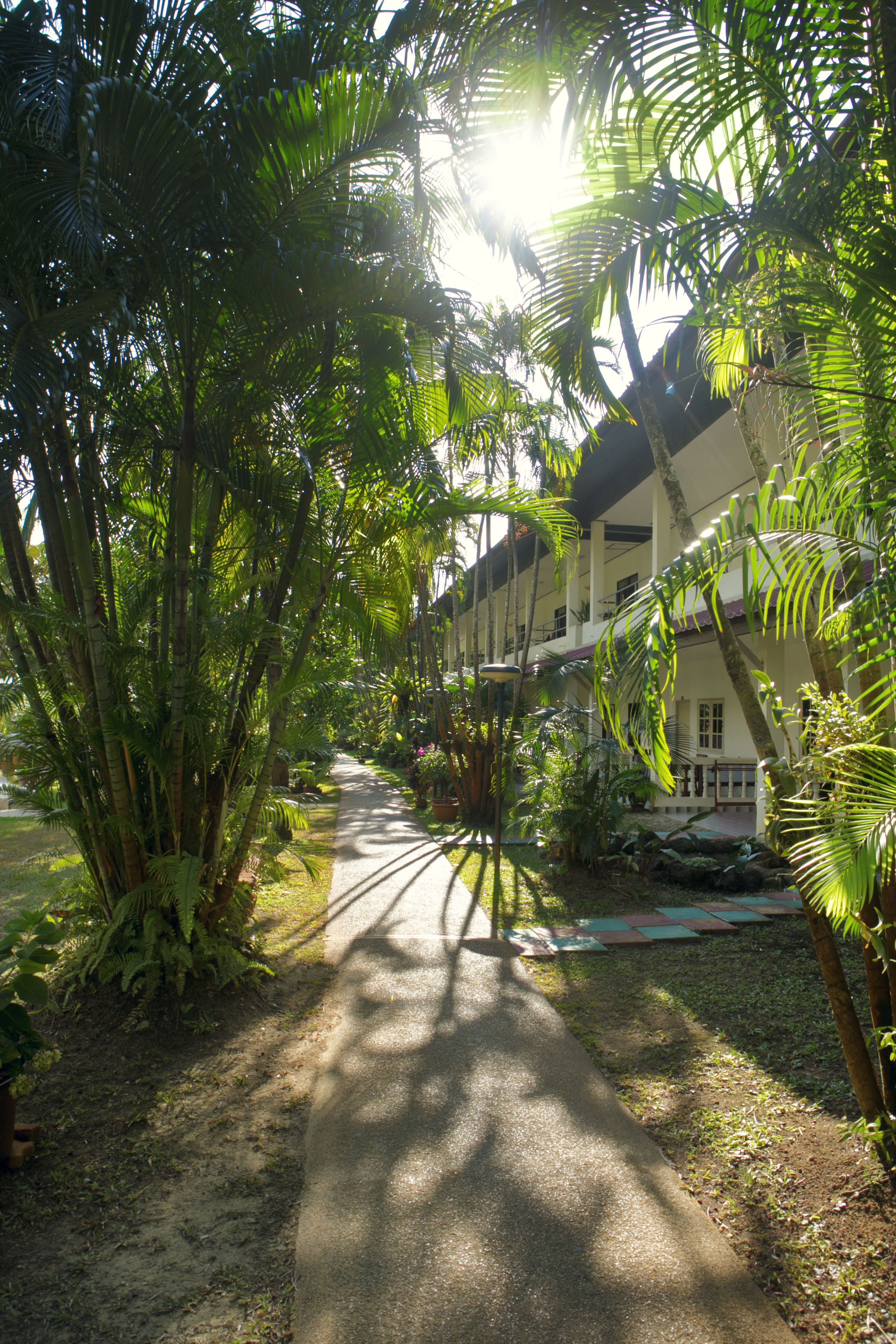 Foto - Patong Palace Hotel - SHA Extra Plus