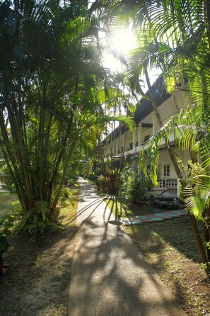 Jardin