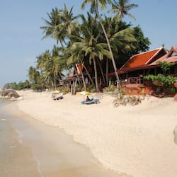 Trên bãi biển