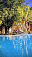 Outdoor pool, pool umbrellas, sun loungers