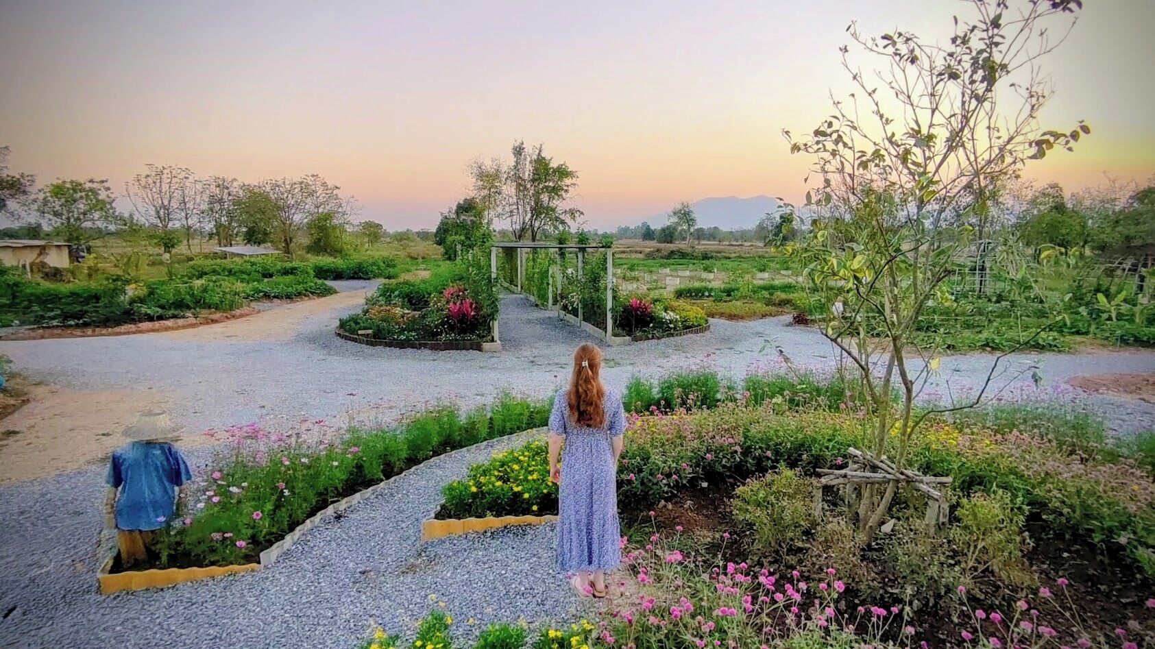 Een vrouw staat in een tuin met een grindpad, omringd door verschillende planten en bloemen.