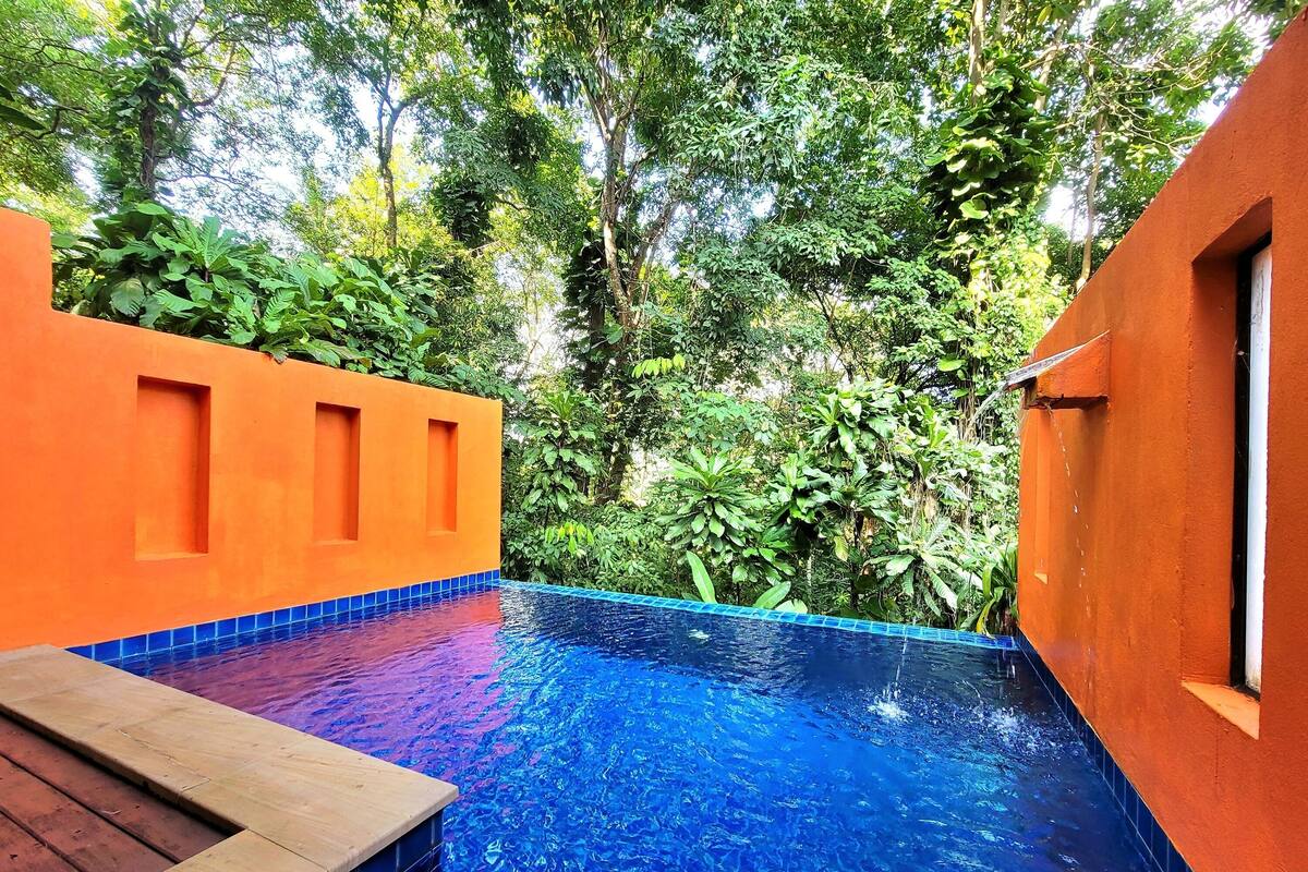 A swimming pool with blue tiles, surrounded by orange walls and lush greenery.