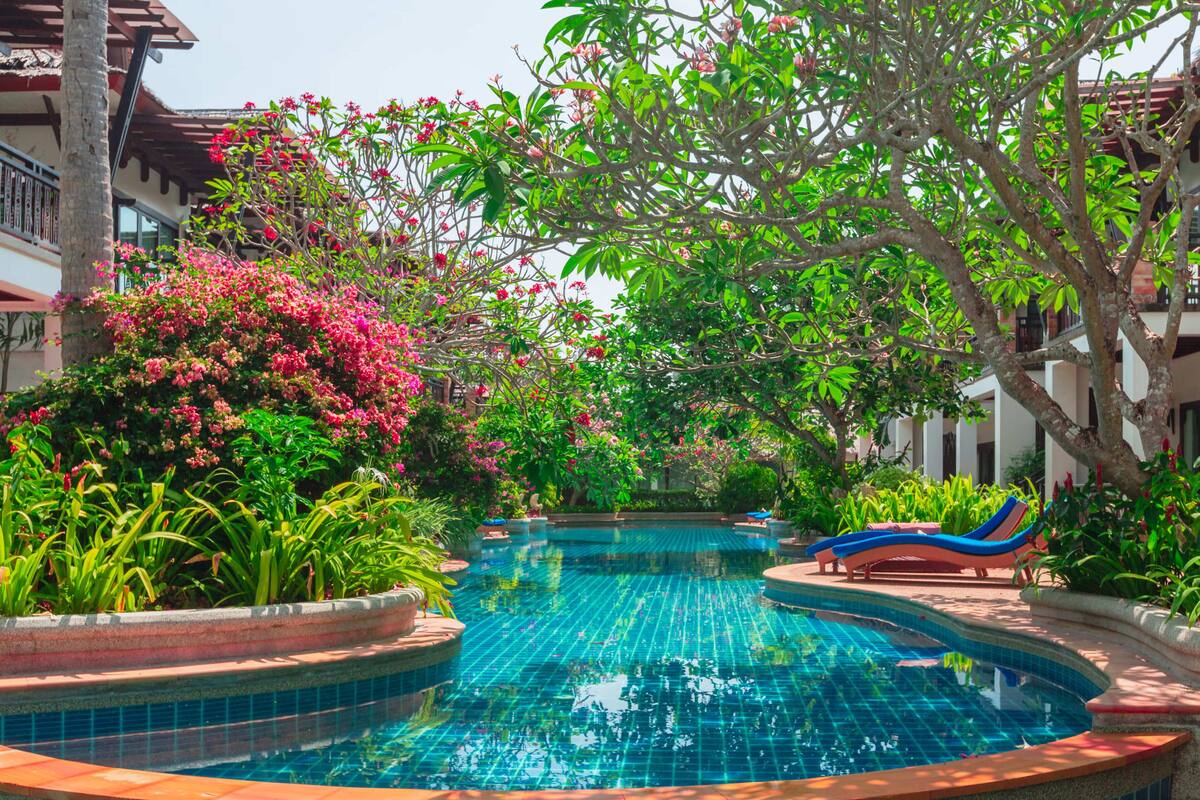 A swimming pool with a tiled edge, surrounded by lush greenery and a few lounge chairs.