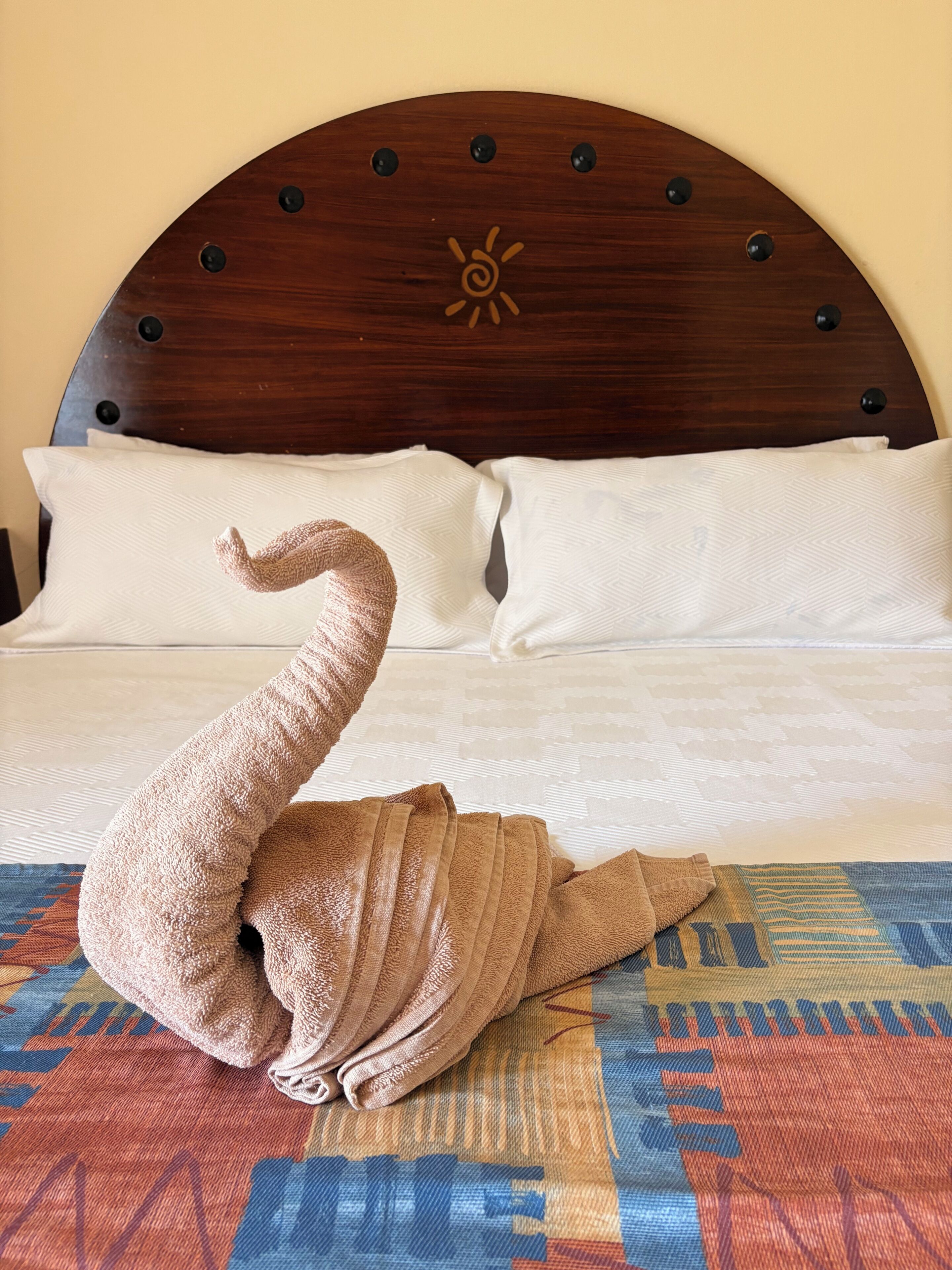 Photo - Hotel Mocali