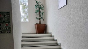 Una escalera con una planta en maceta en la parte superior.
