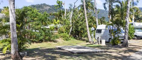 Un terrain de camping avec des camping-cars, des palmiers et une chaîne de montagnes en arrière-plan.