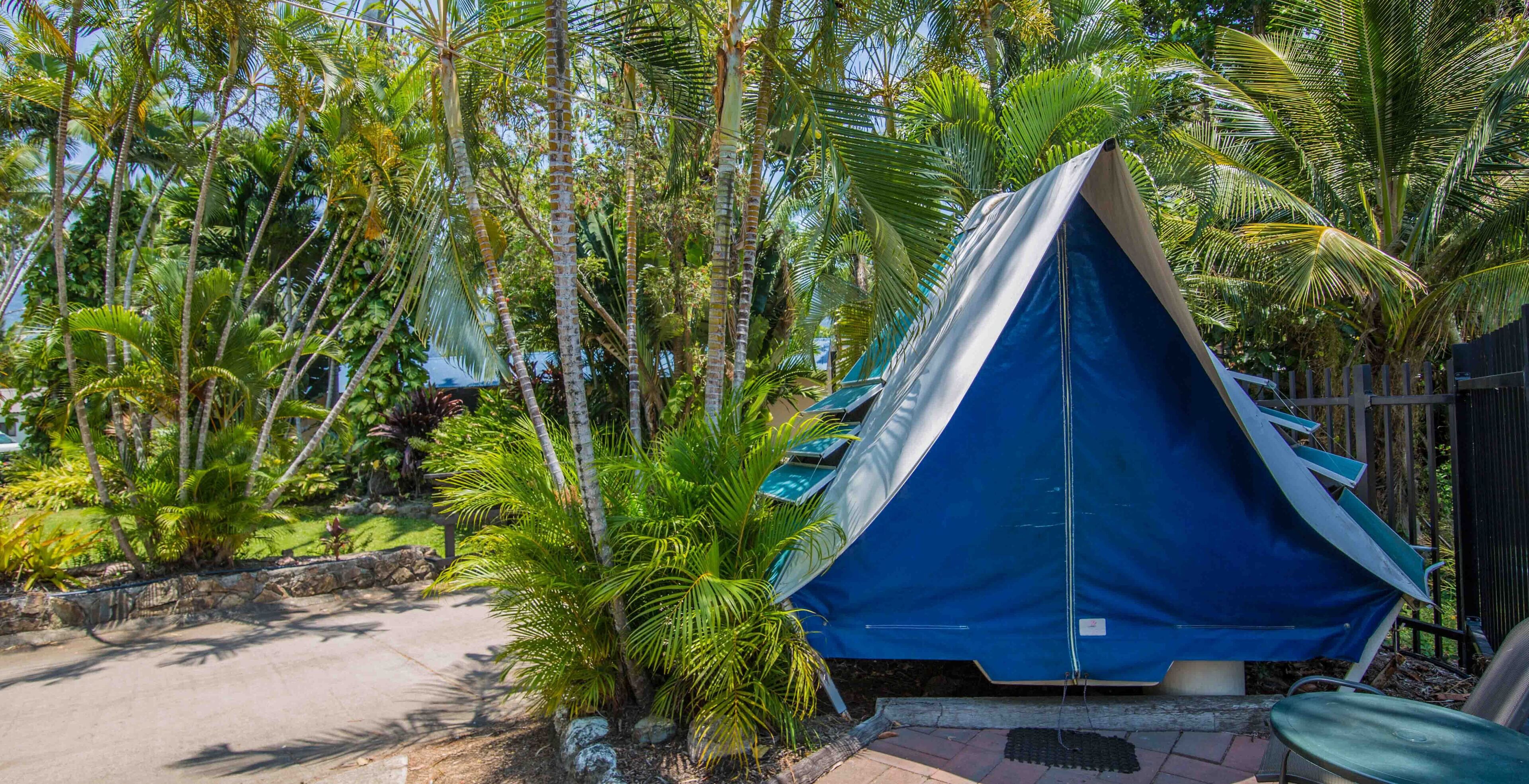 A blue tent-like structure in a tropical setting with palm trees and a paved path.