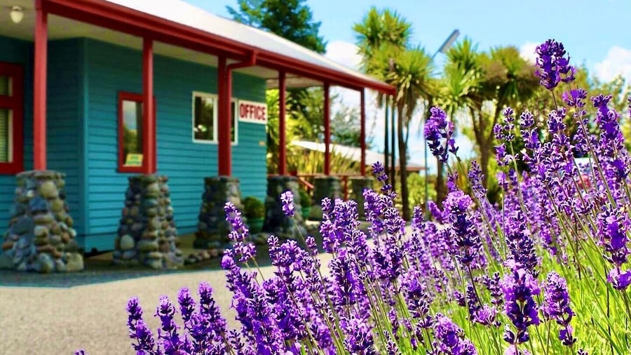 Adventure Lodge & Motel