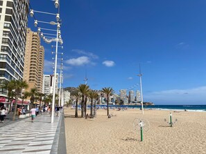A beachside promenade with a pedestrian path, palm trees, and beach umbrellas. - Apartamentos Carlos V (Benidorm)