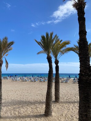Scuba diving - Apartamentos Carlos V (Benidorm)