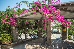A covered outdoor area with a stone wall, a bicycle, and vibrant pink bougainvillea flowers. - Anthippi Guest House (Paros)