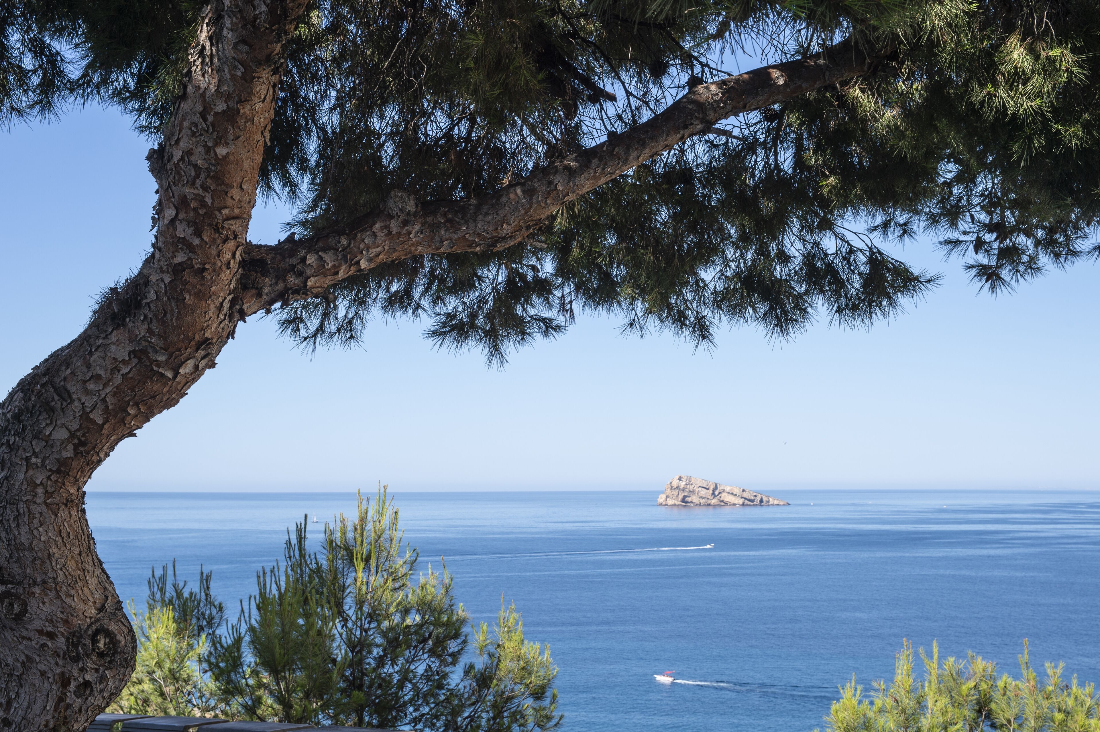 근처 해변, 무료 해변 셔틀