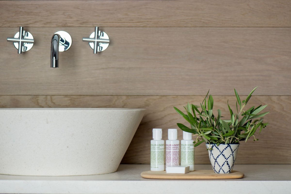 A bathroom with a large vessel sink, two chrome faucets, a potted plant, and three bottles of body wash and shampoo.