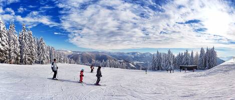 A ski resort with a chairlift, snow-covered trees, and a clear sky.
