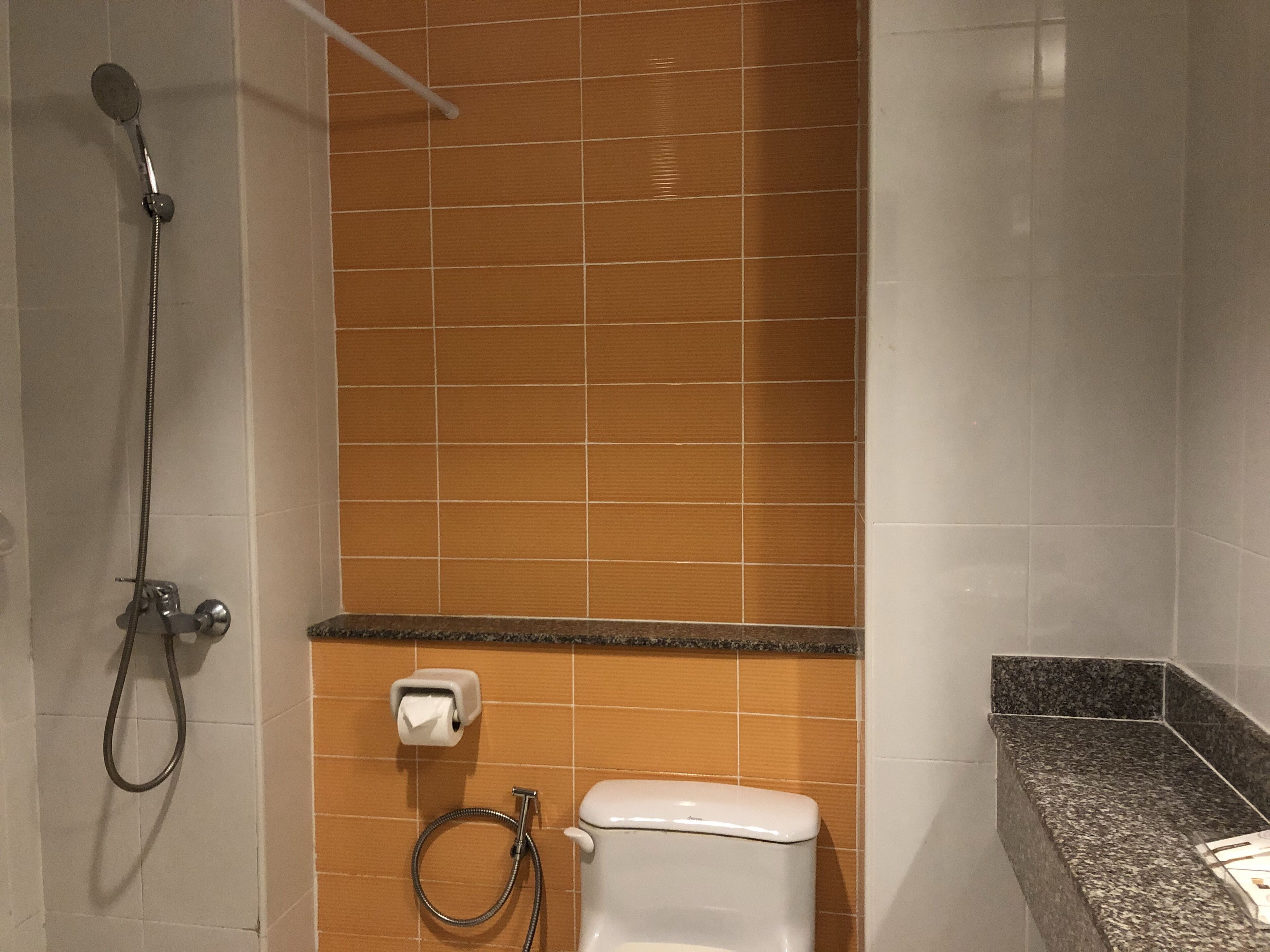 A bathroom with a shower, toilet, and a paper towel dispenser.